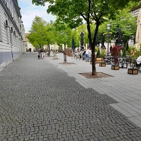 Magistar Appartamento Zemun